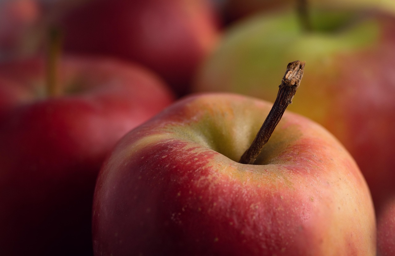entdecken sie die vorteile von vitaminen für ihre gesundheit! unsere hochwertige auswahl an vitaminen unterstützt ihr wohlbefinden, stärkt ihr immunsystem und fördert ihre vitalität. erfahren sie, wie sie ihre ernährung optimal ergänzen können.