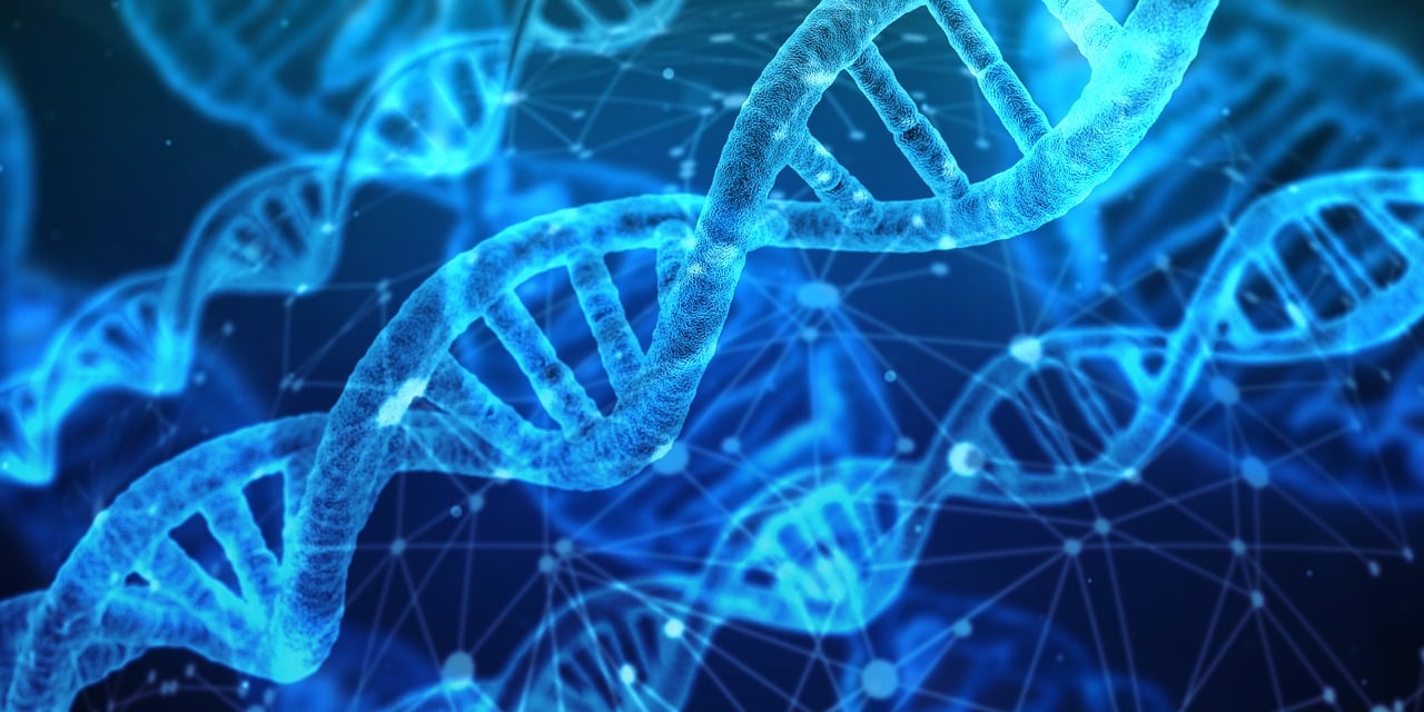 entdecken sie die neuesten technologischen innovationen, die die welt verändern. von bahnbrechenden erfindungen bis hin zu futuristischen entwicklungen – bleiben sie informiert über die trends und technologien, die unsere zukunft gestalten.